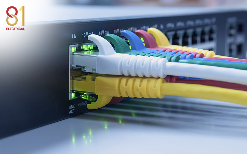 Ethernet cables plugged into a network switch.