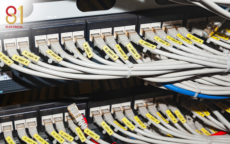 Server room with multiple LAN cables.